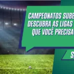 Campeonatos Subestimados: Descubra as Ligas de Futebol que Você Precisa Assistir