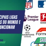 As principais ligas esportivas do mundo e como funcionam