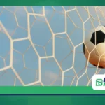 Como Assistir à Champions League: Guia Completo