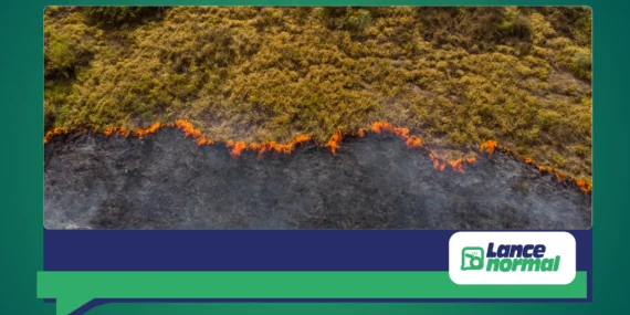 Como a crise climática está afetando calendários esportivos globais